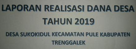 Laporan Realisasi Dana Desa Tahun 2019 S/D BLN NOVEMBER 2019